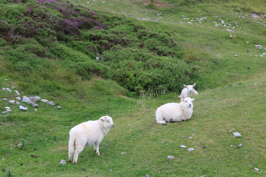 Why Can't I Sleep? 7 Mistakes to Avoid in 2026