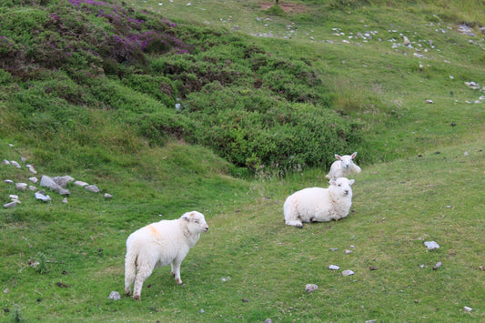 Why Can't I Sleep? 7 Mistakes to Avoid in 2026